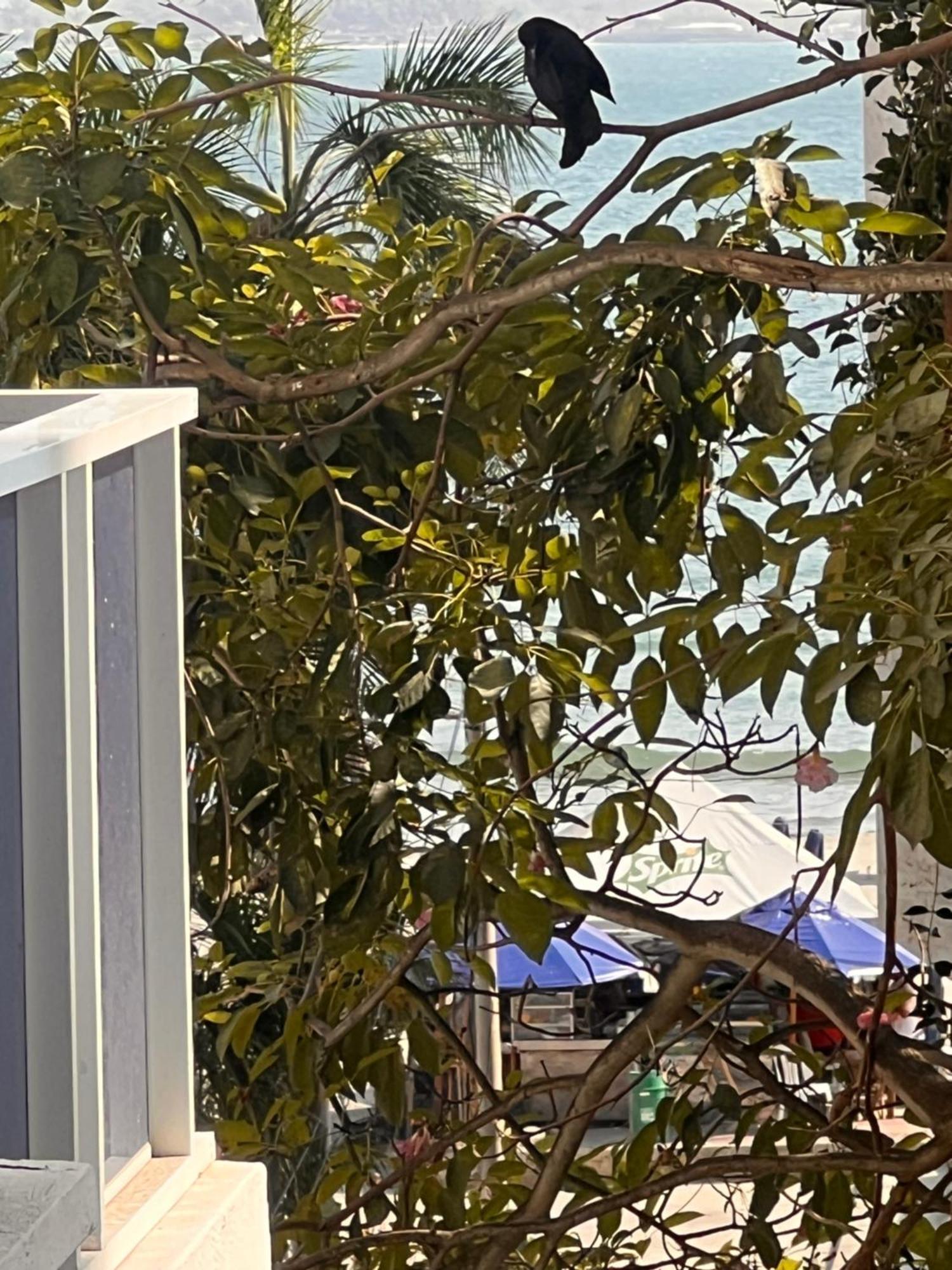 Nuevo Conquistador Apartment *